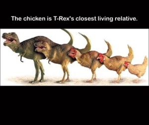T-Rex Trivia