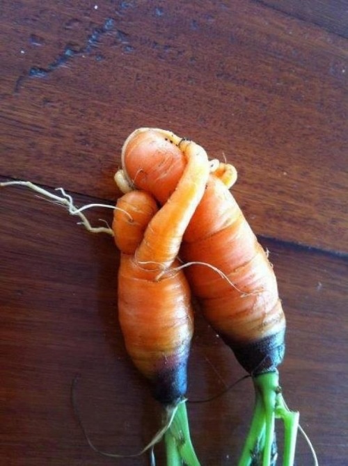 carrot hug