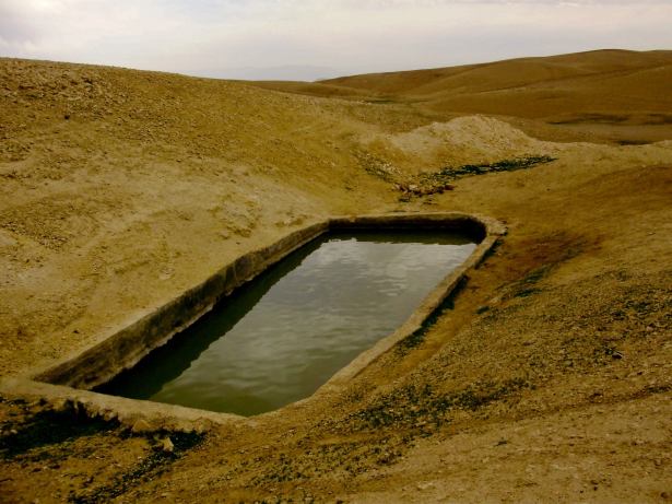 desert pool AmitaiAsif